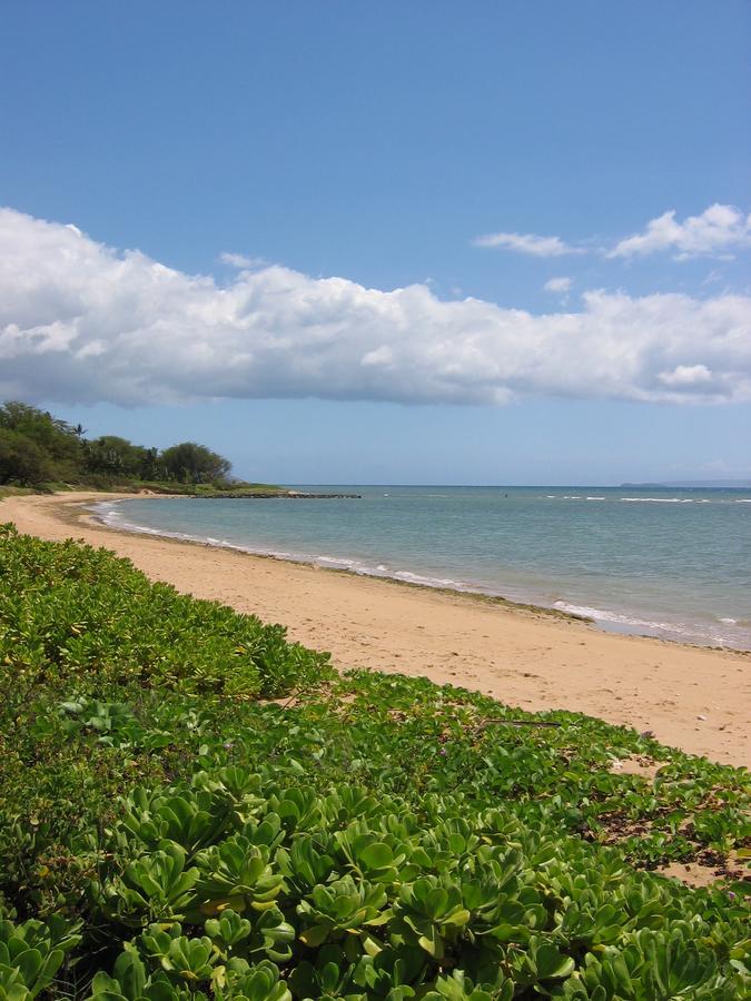 Hale Kai O'Kihei 118 Villa Екстериор снимка